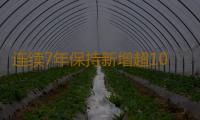 连续7年保持新增超10万户 东莞个体工商户突破100万户 
